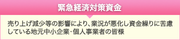 地緊急経済対策資金