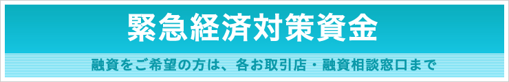 緊急経済対策資金